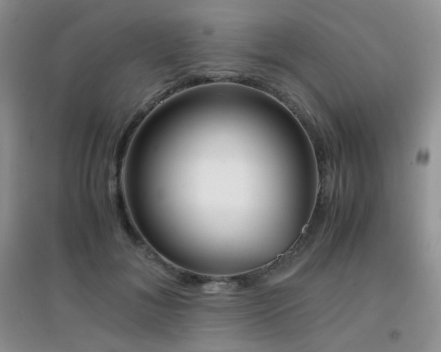 X0000096960700200802081231