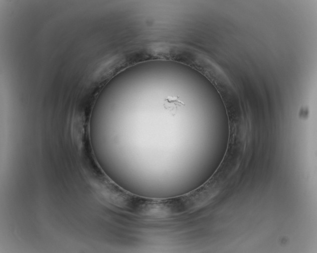 X0000096960702200802081230