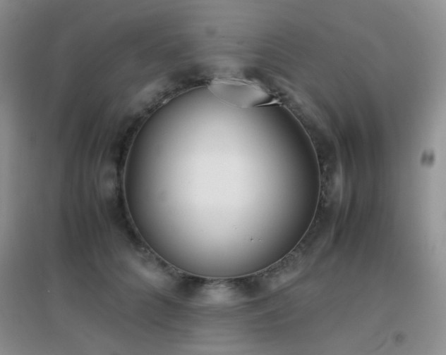 X0000096960704200802081230