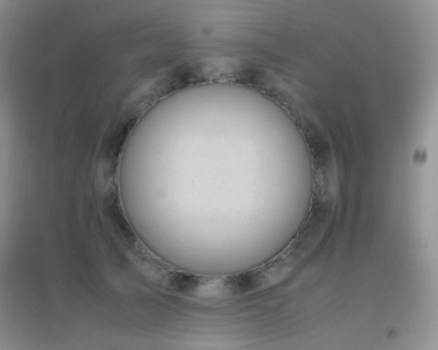X0000096960705200802081230