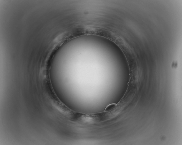 X0000096960706200802081230