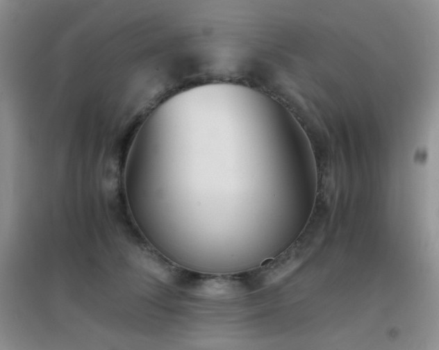 X0000096960708200802081230
