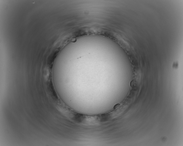 X0000096960709200802081230