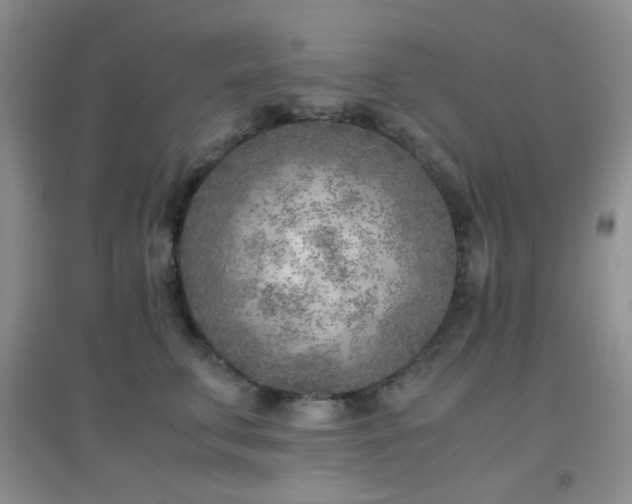 X0000096960711200802081230