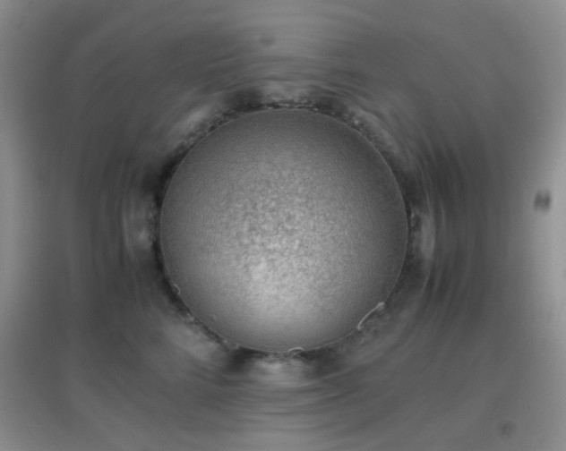 X0000096960712200802081230
