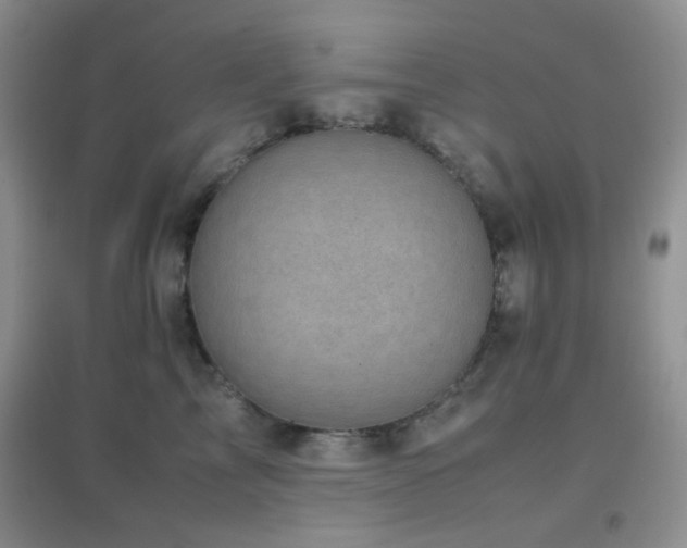 X0000096960713200802081230