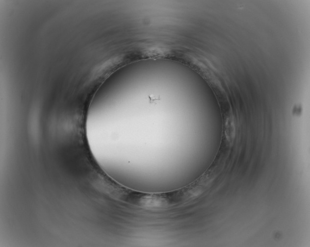 X0000096960714200802081230