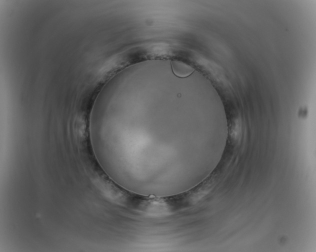 X0000096960715200802081230
