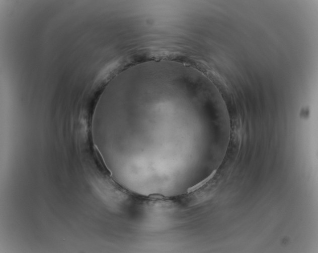 X0000096960716200802081230