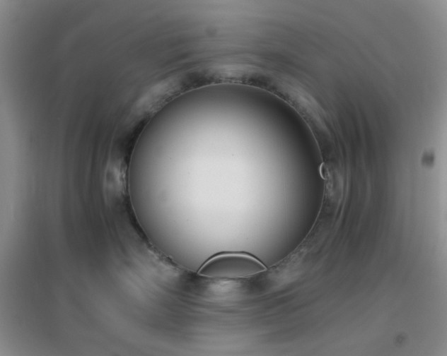 X0000096960718200802081230