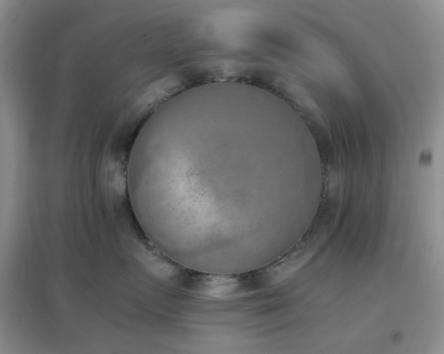 X0000096960719200802081230