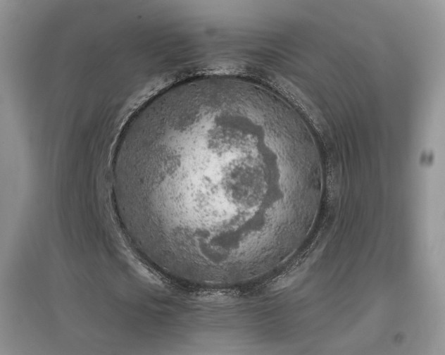 X0000096960721200802081230