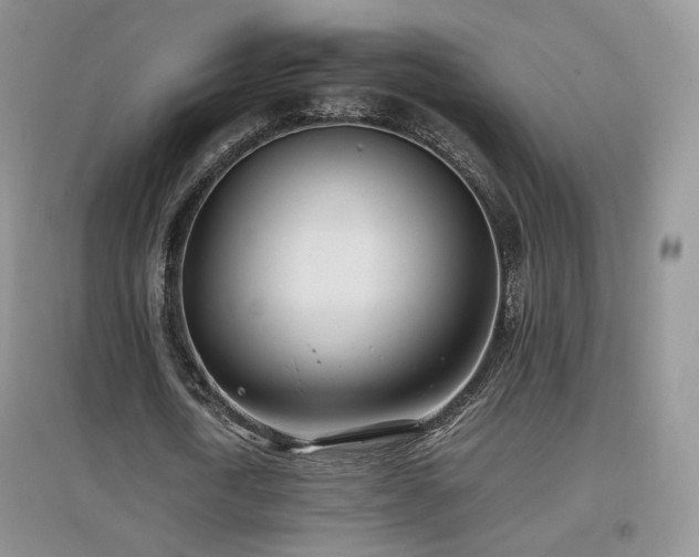 X0000096960722200802081230