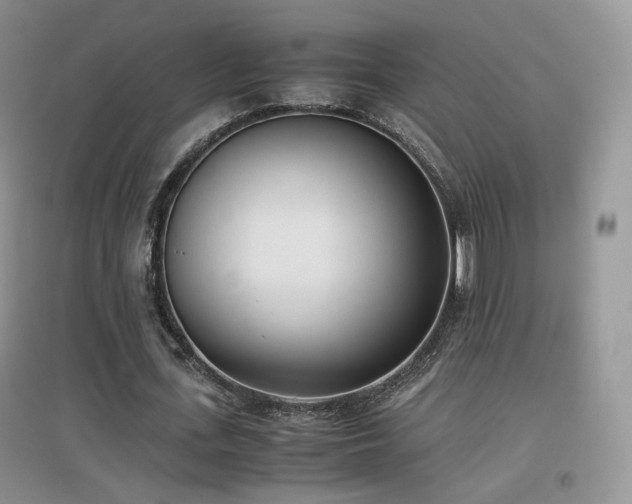 X0000096960723200802081230