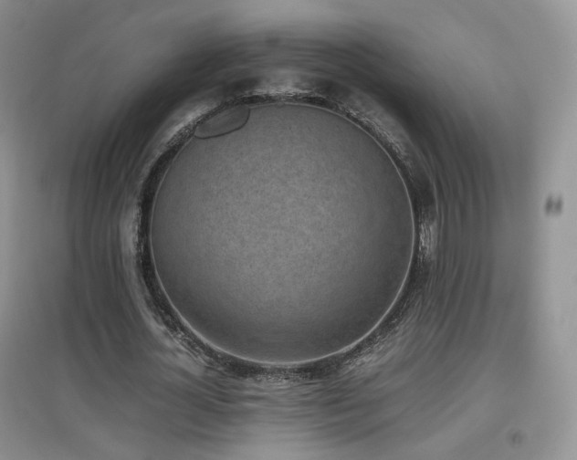 X0000096960724200802081230