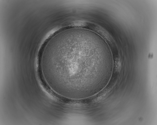 X0000096960726200802081230