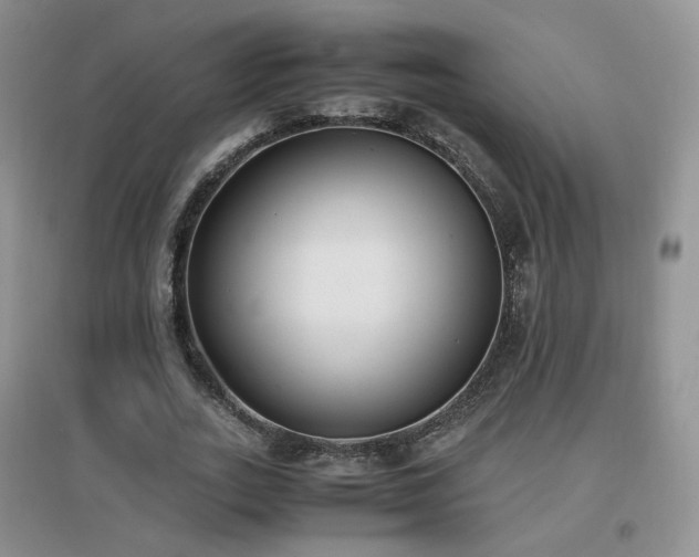X0000096960727200802081230