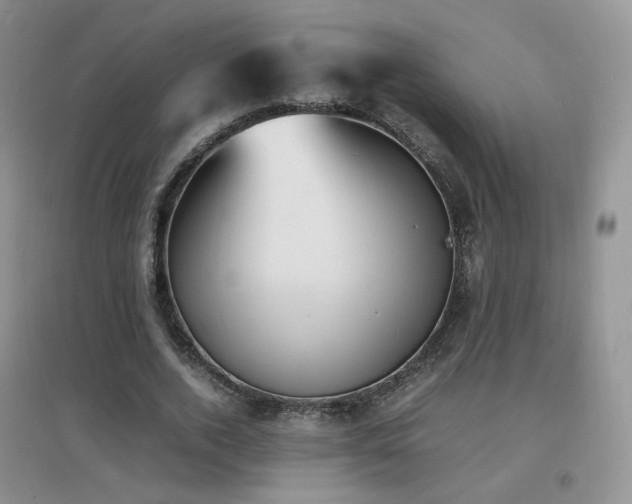 X0000096960728200802081230