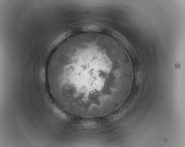 X0000096960729200802081230