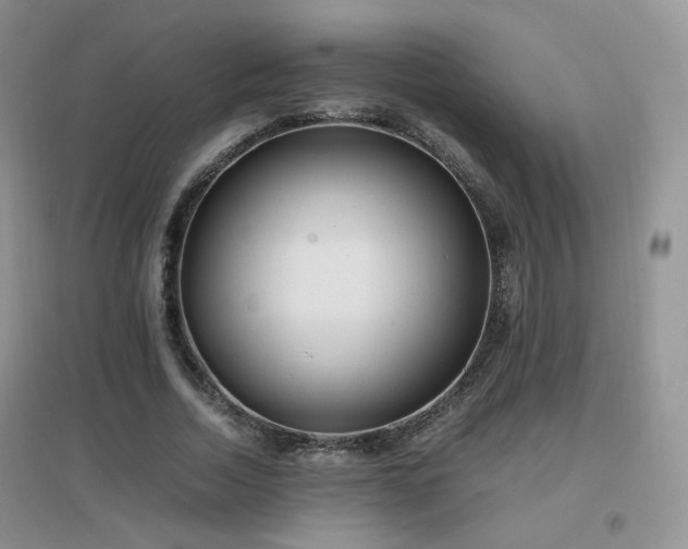 X0000096960730200802081230