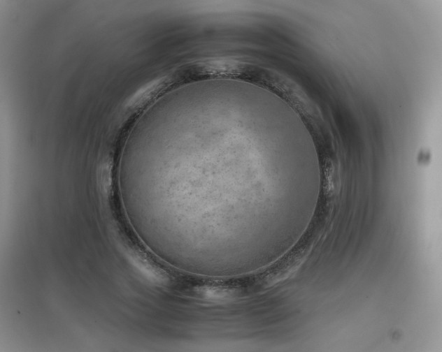 X0000096960733200802081230