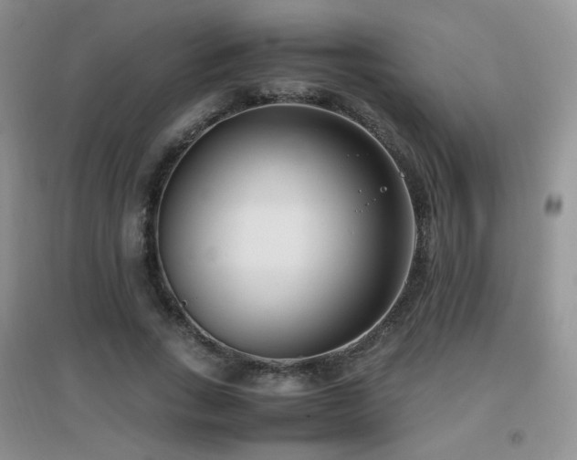 X0000096960735200802081230