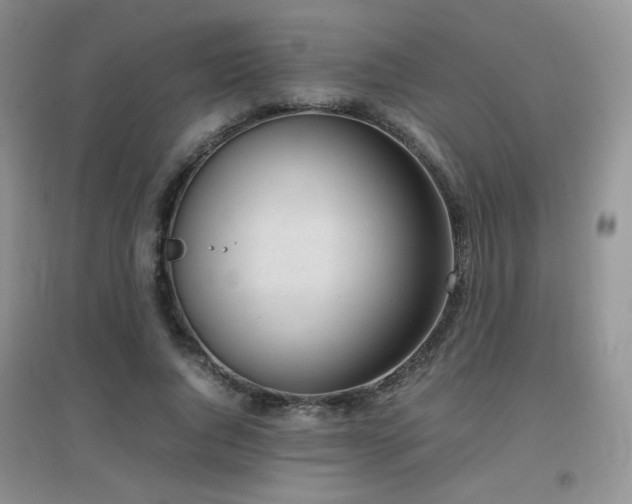 X0000096960736200802081230