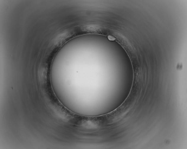 X0000096960739200802081230