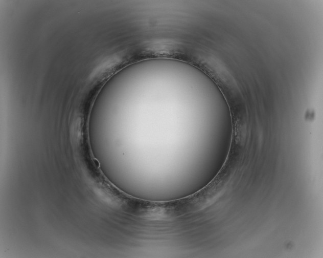 X0000096960740200802081230