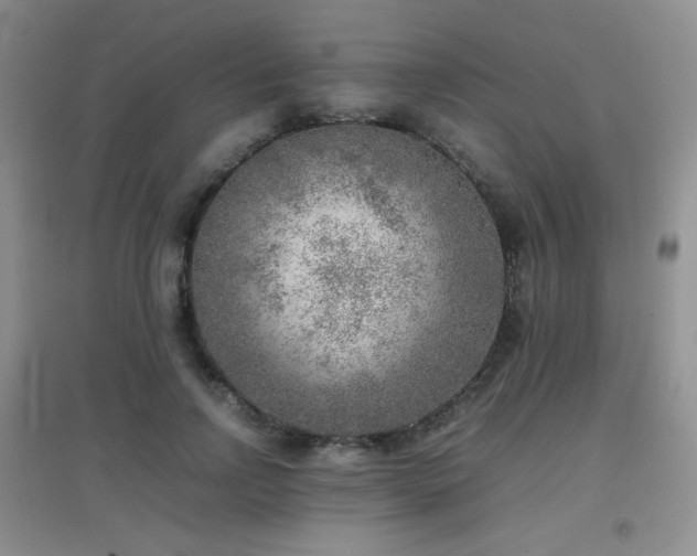 X0000096960742200802081230