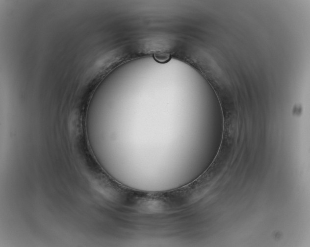 X0000096960743200802081230