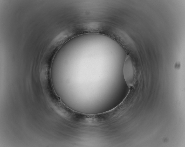 X0000096960744200802081230