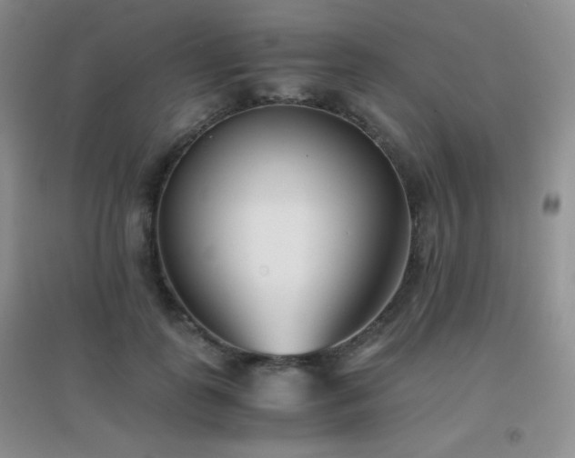 X0000096960747200802081230