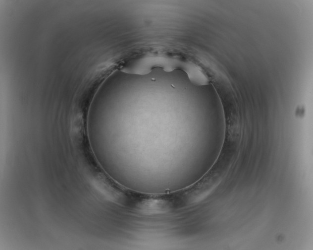X0000096960748200802081230