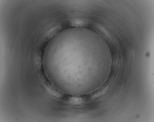 X0000096960749200802081230