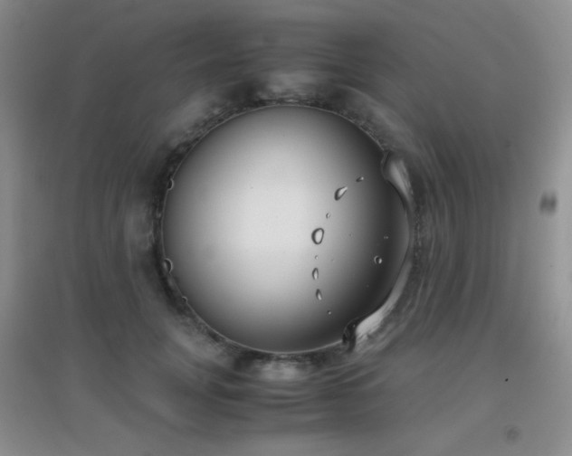 X0000096960751200802081230