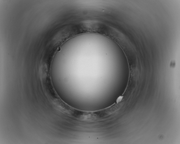 X0000096960752200802081230