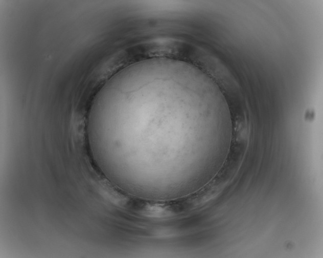 X0000096960753200802081230