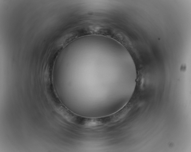 X0000096960754200802081230