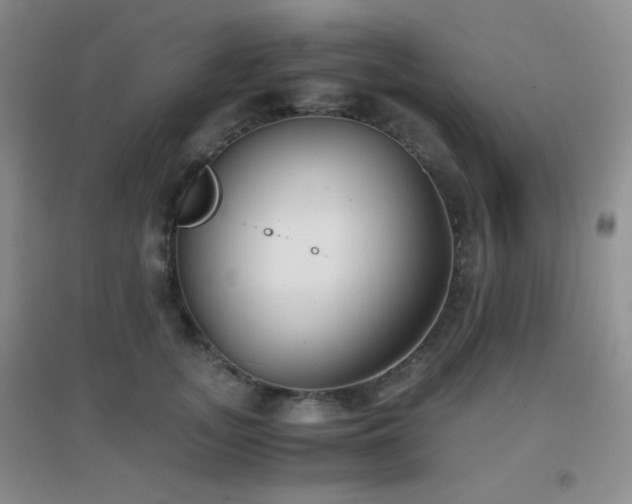 X0000096960755200802081230