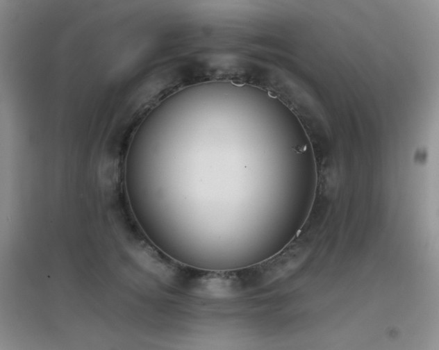 X0000096960756200802081230