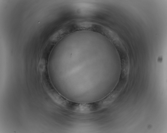X0000096960758200802081230
