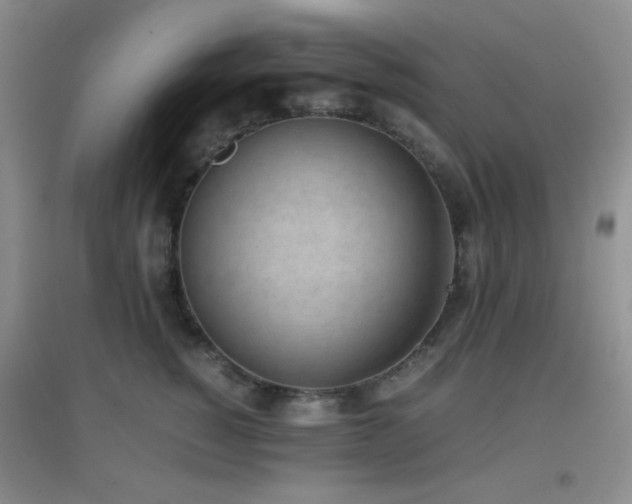 X0000096960760200802081230