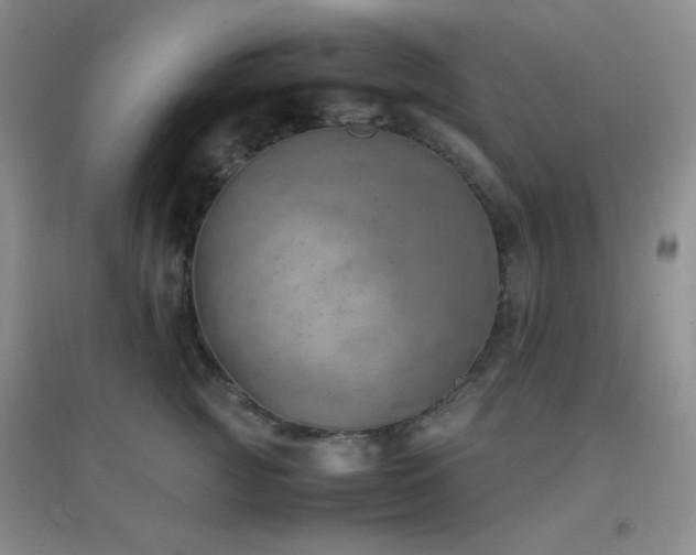 X0000096960761200802081230