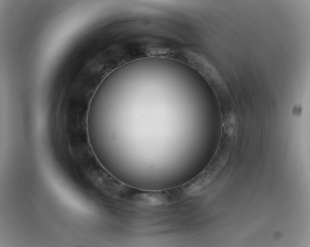 X0000096960763200802081230