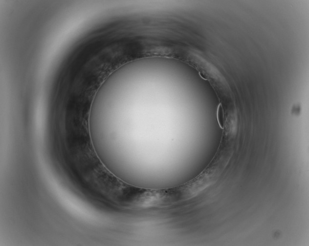 X0000096960764200802081230