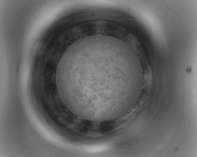 X0000096960765200802081230