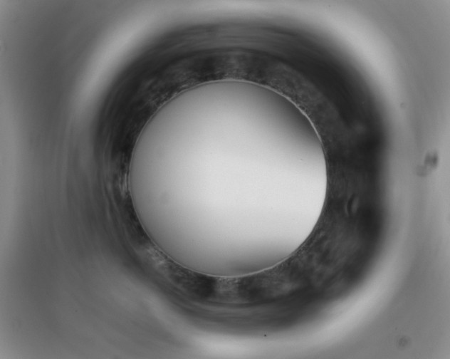 X0000096960766200802081230