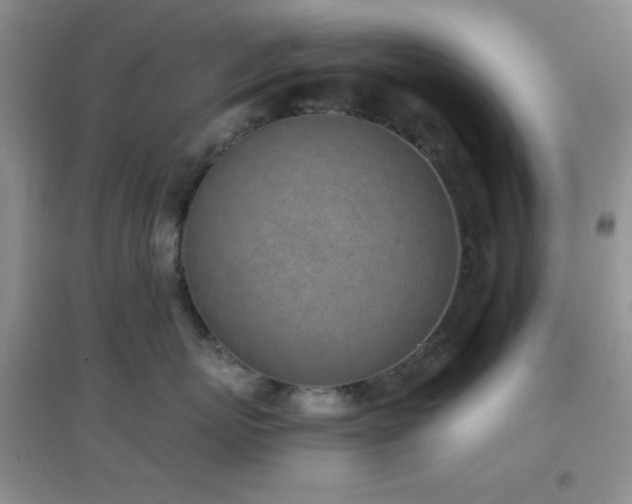 X0000096960767200802081230