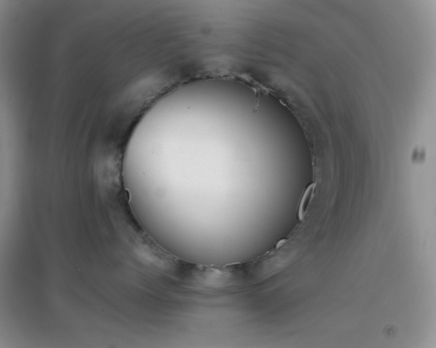 X0000096960768200802081230